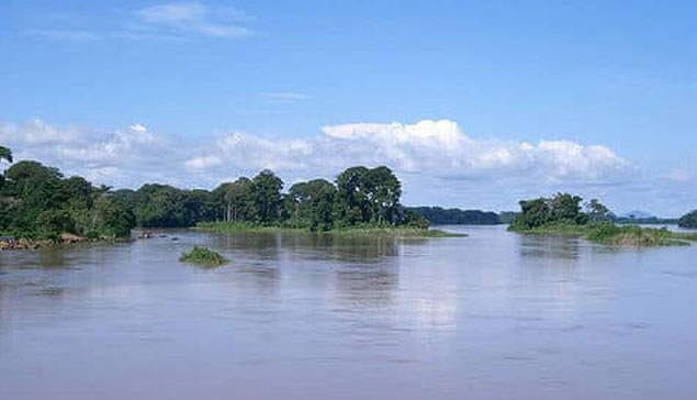DOUALA - EDEA (Réserve de faune de Douala-Edéa)