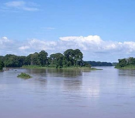 DOUALA - EDEA (Réserve de faune de Douala-Edéa)